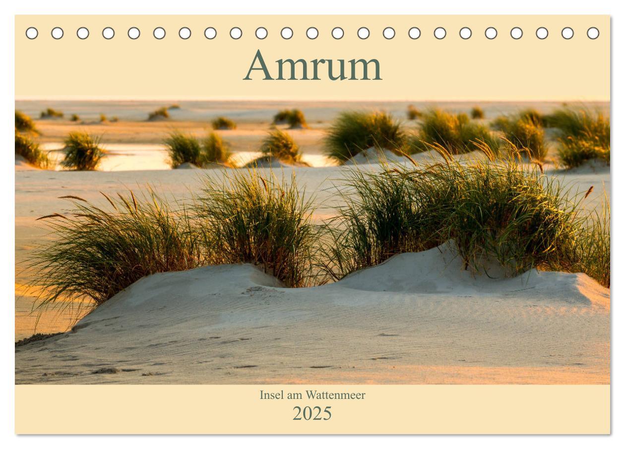 Cover: 9783435270453 | Amrum Insel am Wattenmeer (Tischkalender 2025 DIN A5 quer),...