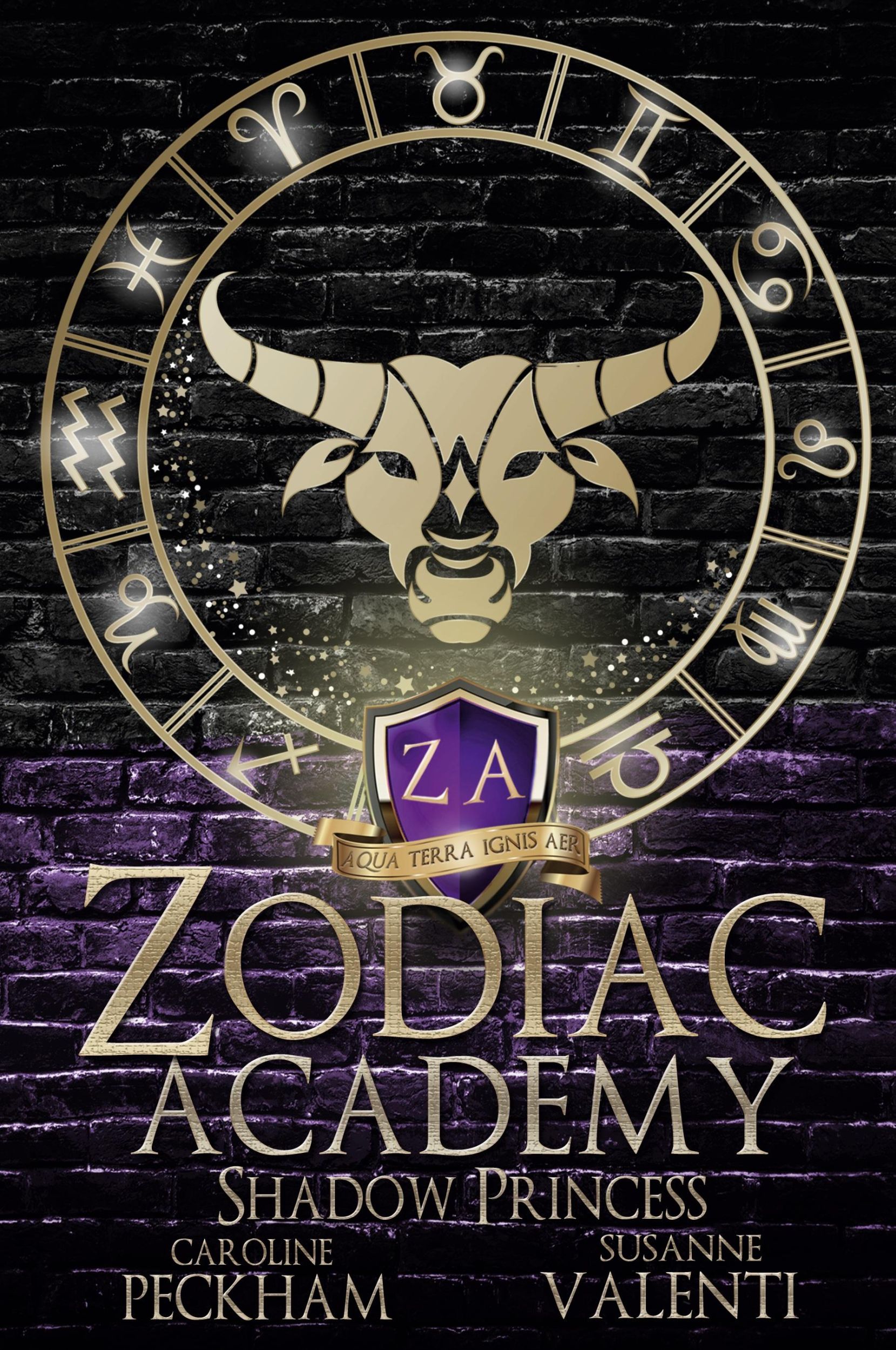 Cover: 9781914425066 | Zodiac Academy 4 | Shadow Princess | Susanne Valenti | Taschenbuch