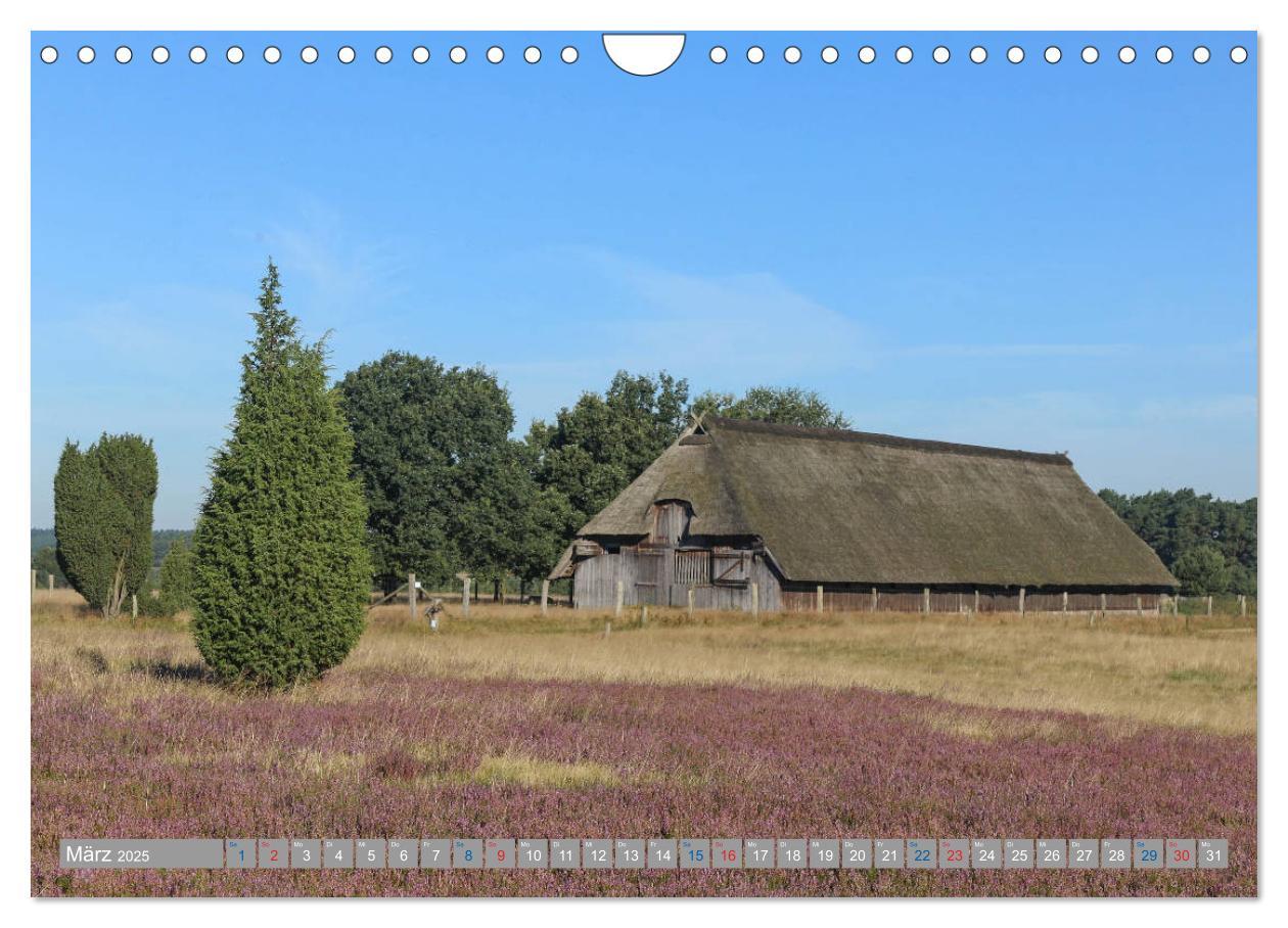 Bild: 9783435458776 | Lüneburger Heide - Faszinierend schön (Wandkalender 2025 DIN A4...