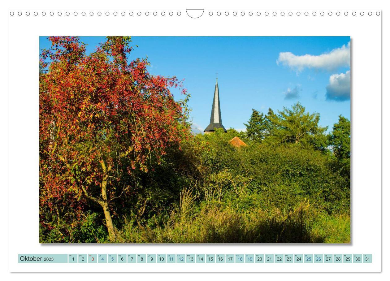 Bild: 9783435535842 | Augenblicke im Müritz Nationalpark (Wandkalender 2025 DIN A3 quer),...