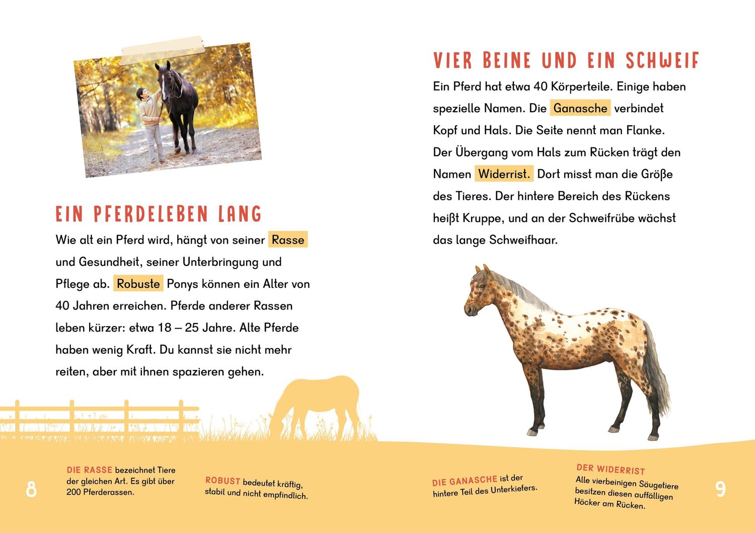 Bild: 9783411780013 | Dein Lesestart - Pferde und Ponys | Karolin Küntzel | Buch | 64 S.