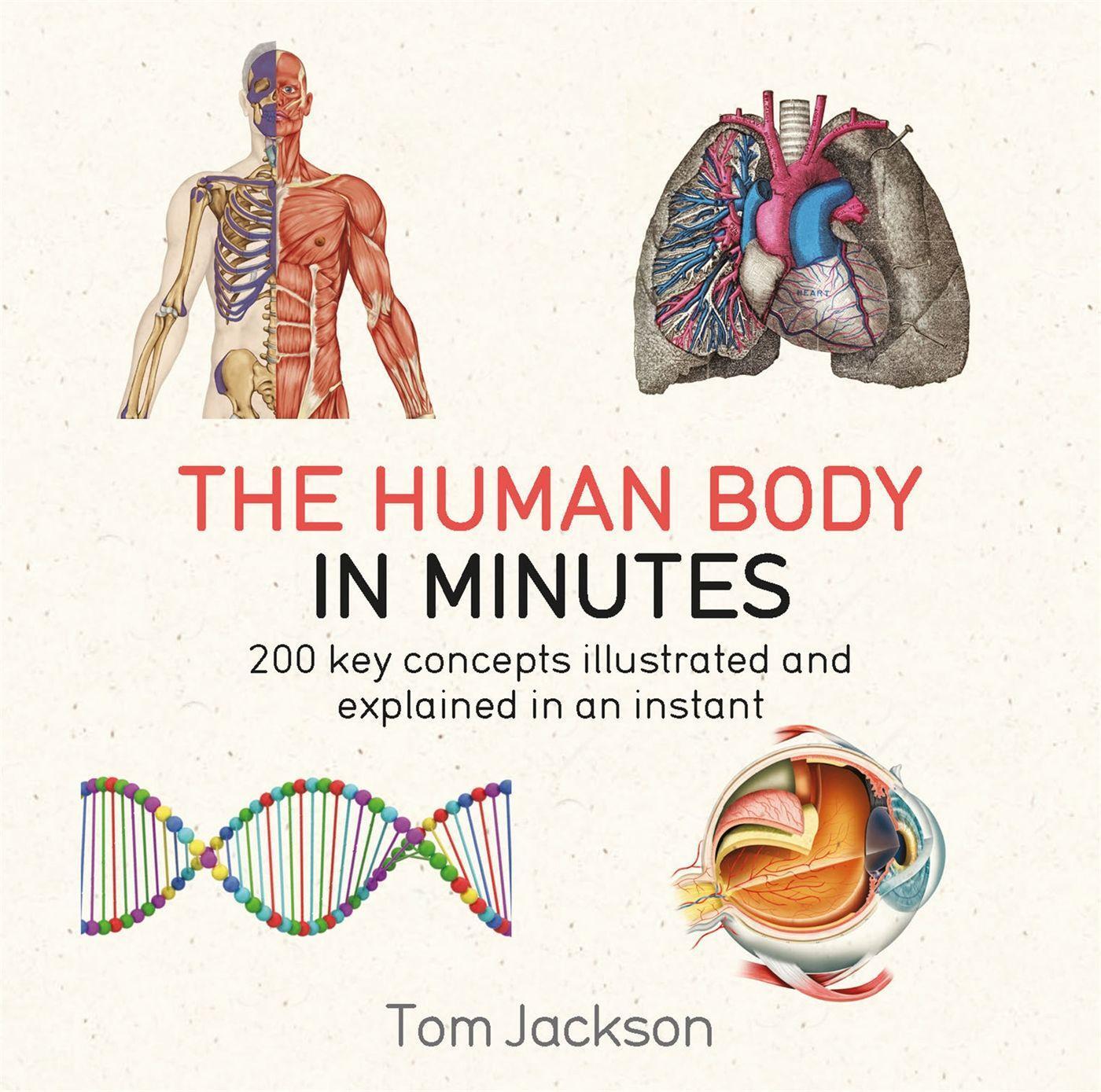 Cover: 9781786481238 | The Human Body in Minutes | Tom Jackson | Taschenbuch | 416 S. | 2017