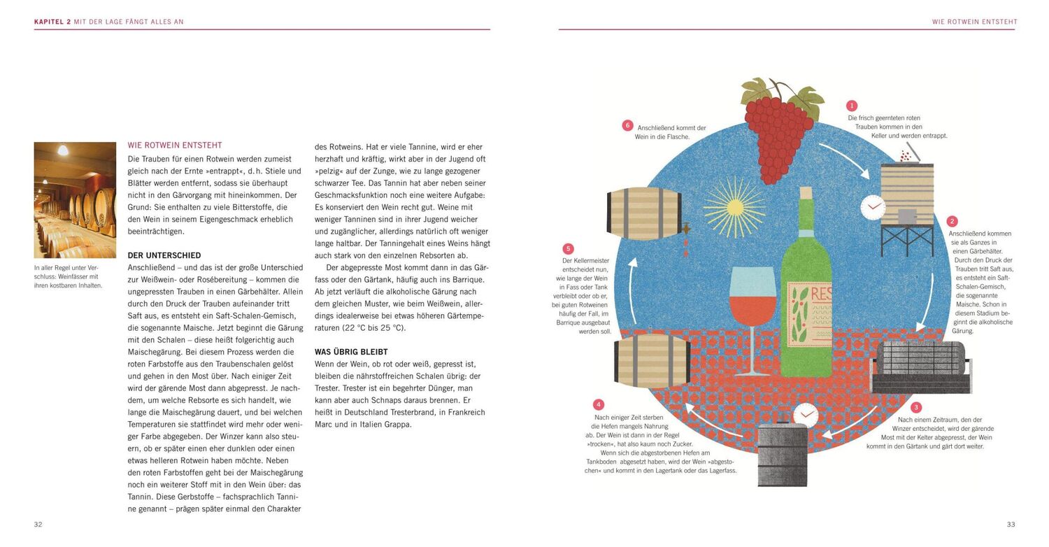 Bild: 9783833827273 | Crashkurs Wein | Wein ganz einfach entdecken und genießen | Rindchen