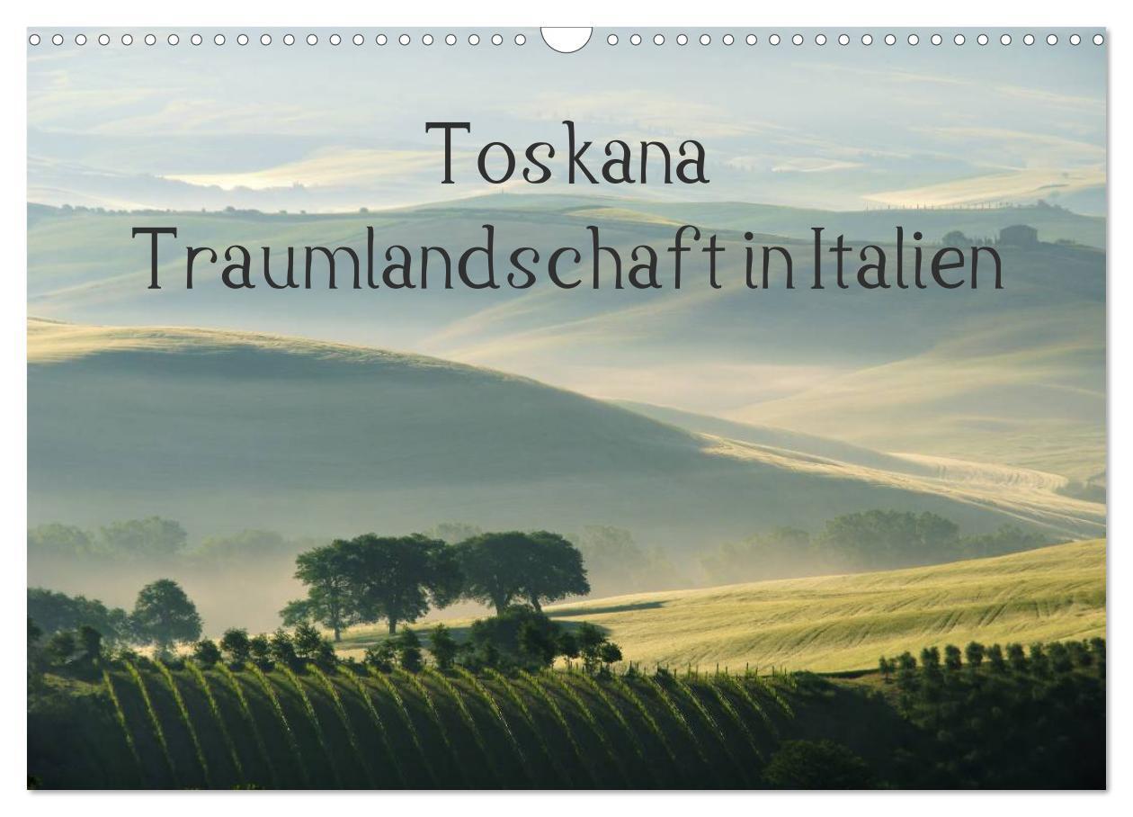 Cover: 9783435757039 | Toskana ¿ Traumlandschaft in Italien (Wandkalender 2025 DIN A3...