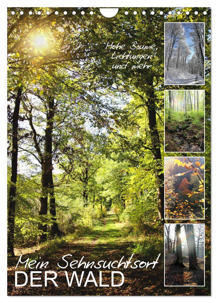 Cover: 9783435928446 | Mein Sehnsuchtsort, der Wald (Wandkalender 2025 DIN A4 hoch),...