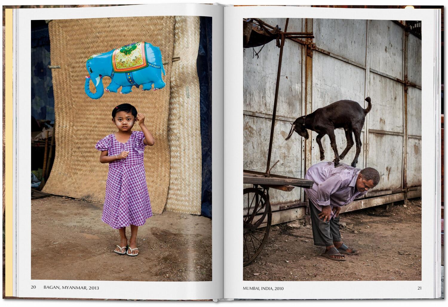 Bild: 9783836597036 | Steve McCurry. Animals | Reuel Golden | Buch | 192 S. | Englisch