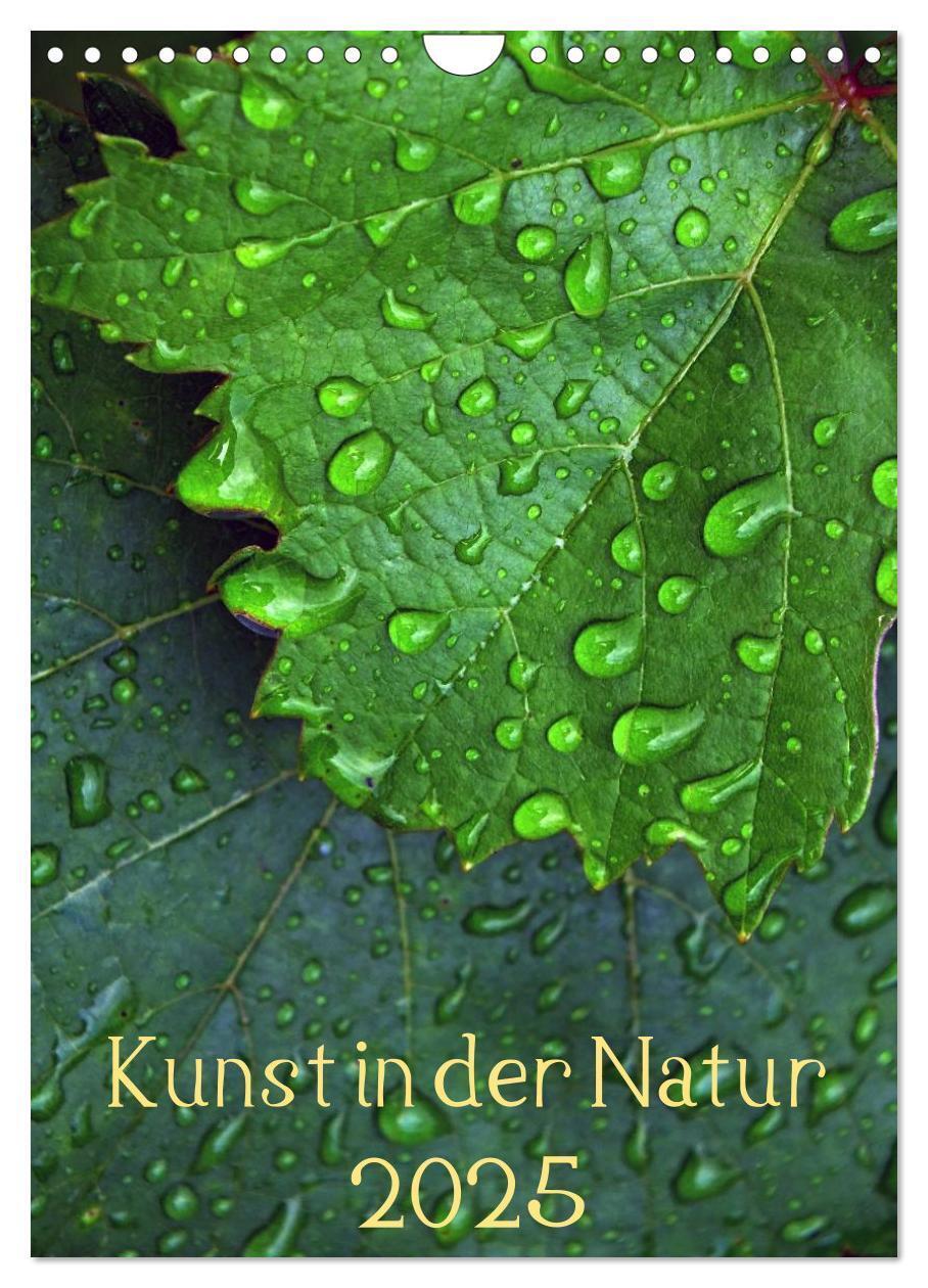 Cover: 9783457052341 | Kunst in der Natur (Wandkalender 2025 DIN A4 hoch), CALVENDO...