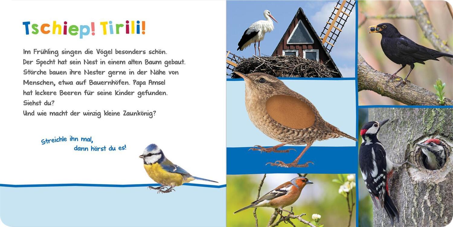 Bild: 9783845842905 | Hör mal rein, wer kann das sein? - Im Frühling | Buch | 12 S. | 2021