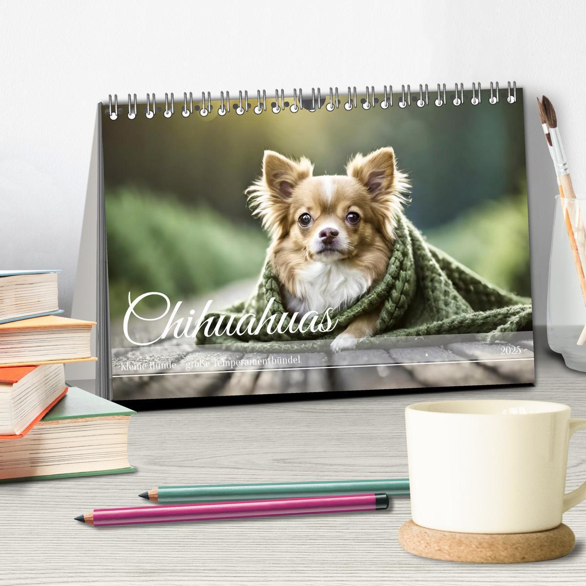 Bild: 9783383811661 | Chihuahuas - Kleine Hunde - große Temperamentbündel (Tischkalender...