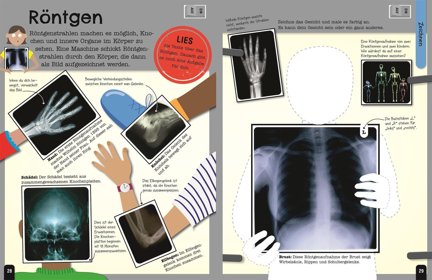 Bild: 9783831047239 | Mein Mitmach-Wissens-Kick. Körper | Taschenbuch | 96 S. | Deutsch