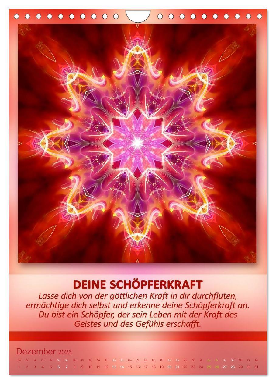 Bild: 9783457086469 | Light Energy Mandalas - Kalender - Vol. 1 (Wandkalender 2025 DIN A4...