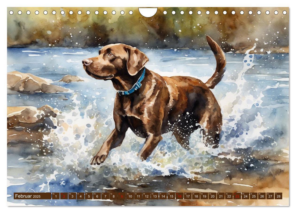 Bild: 9783383822575 | Voller Kraft und Energie - Labrador-Retriever (Wandkalender 2025...