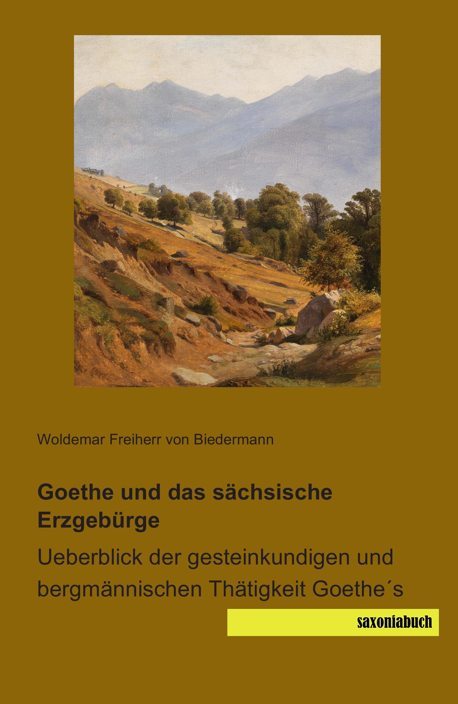 Cover: 9783944822044 | Goethe und das sächsische Erzgebürge | Biedermann | Taschenbuch | 2014