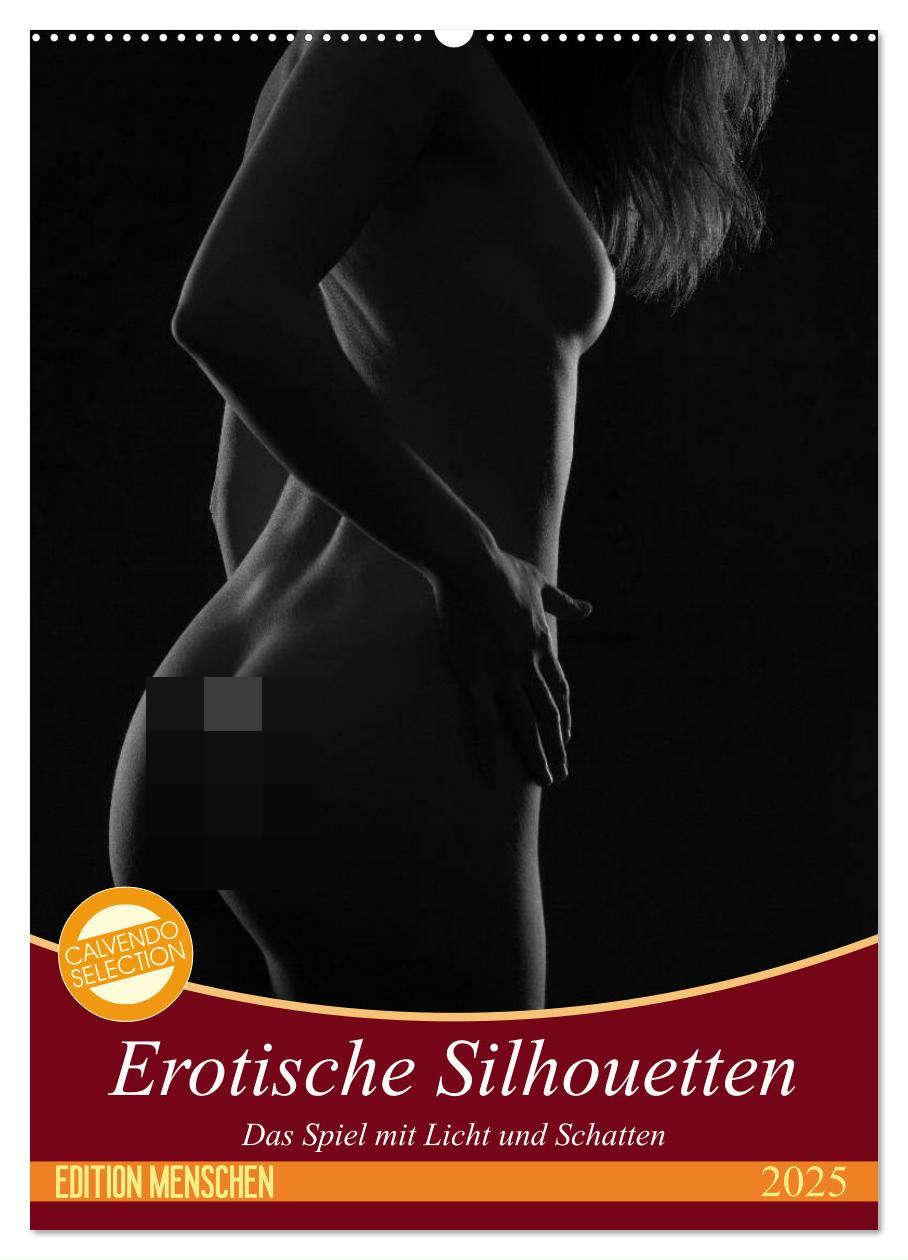 Cover: 9783457087213 | Erotische Silhouetten (Wandkalender 2025 DIN A2 hoch), CALVENDO...