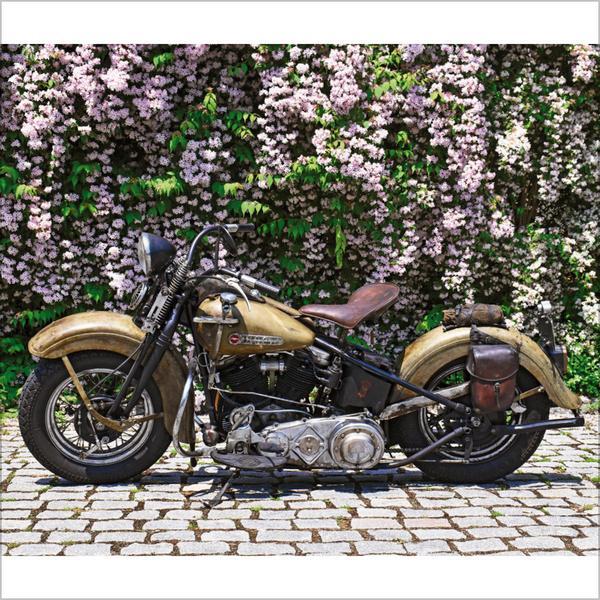 Bild: 9783731876342 | Dreambikes 2025 | Verlag Korsch | Kalender | 13 S. | Deutsch | 2025