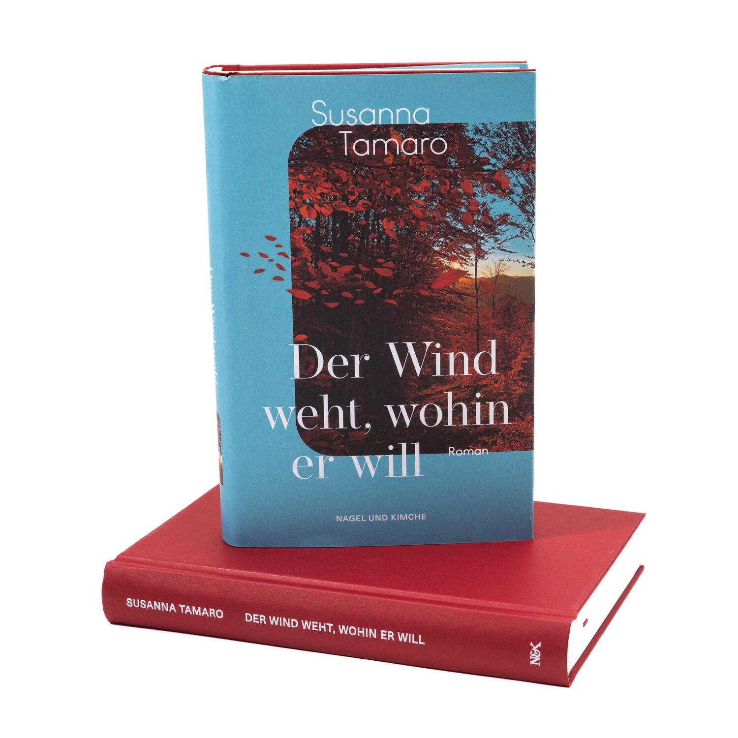 Bild: 9783312013647 | Der Wind weht, wohin er will | Susanna Tamaro | Buch | 288 S. | 2024