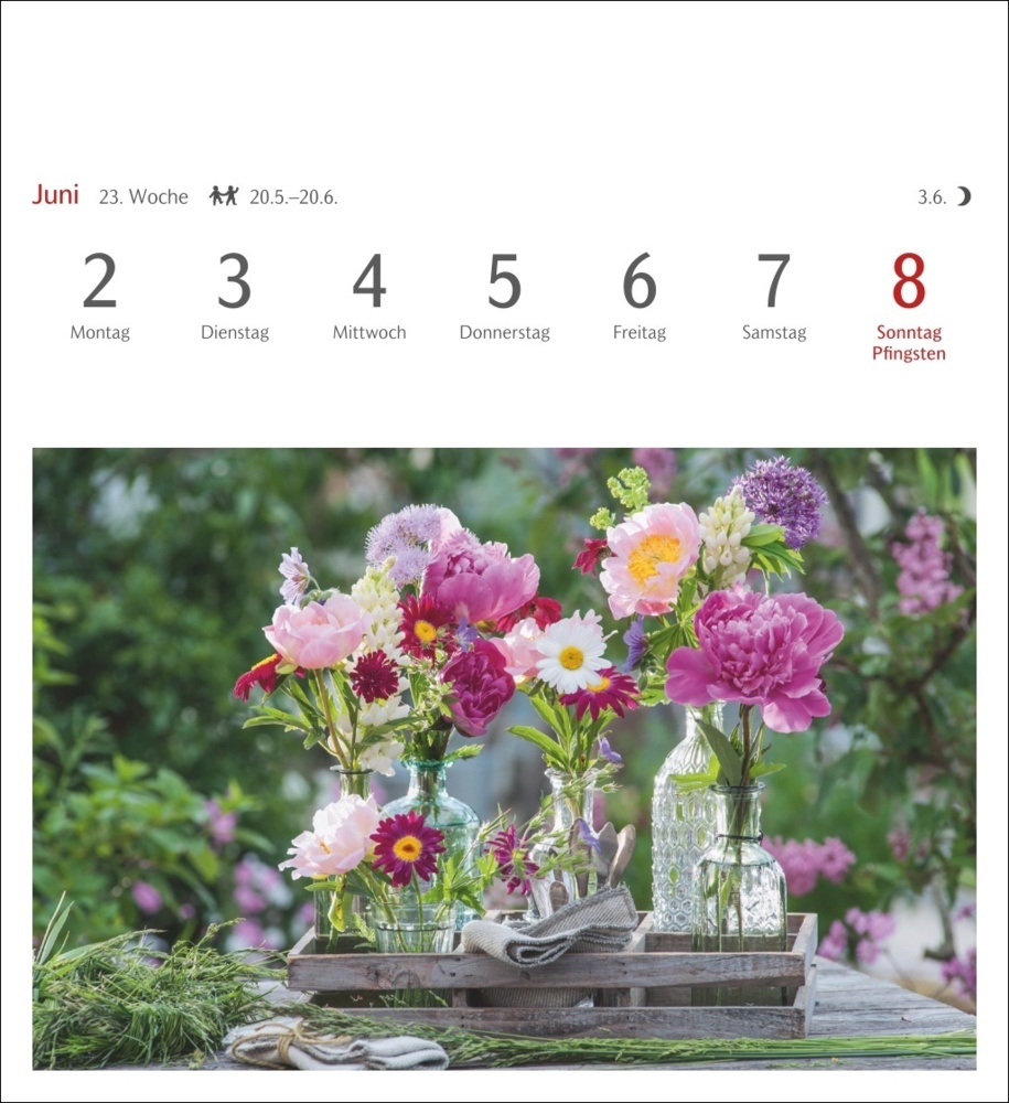 Bild: 9783840034541 | Blumenpracht Postkartenkalender 2025 - Wochenkalender mit 53...