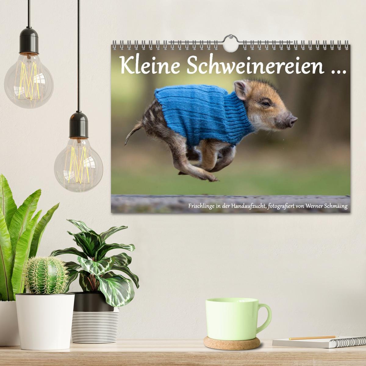 Bild: 9783435537358 | Kleine Schweinereien (Wandkalender 2025 DIN A4 quer), CALVENDO...