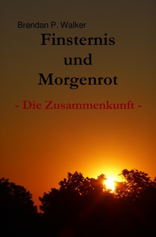 Cover: 9783745055443 | Finsternis und Morgenrot | Die Zusammenkunft | Brendan P. Walker