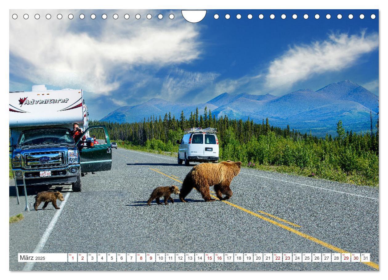 Bild: 9783383855955 | KANADA - Die Bären der Rocky Mountains (Wandkalender 2025 DIN A4...