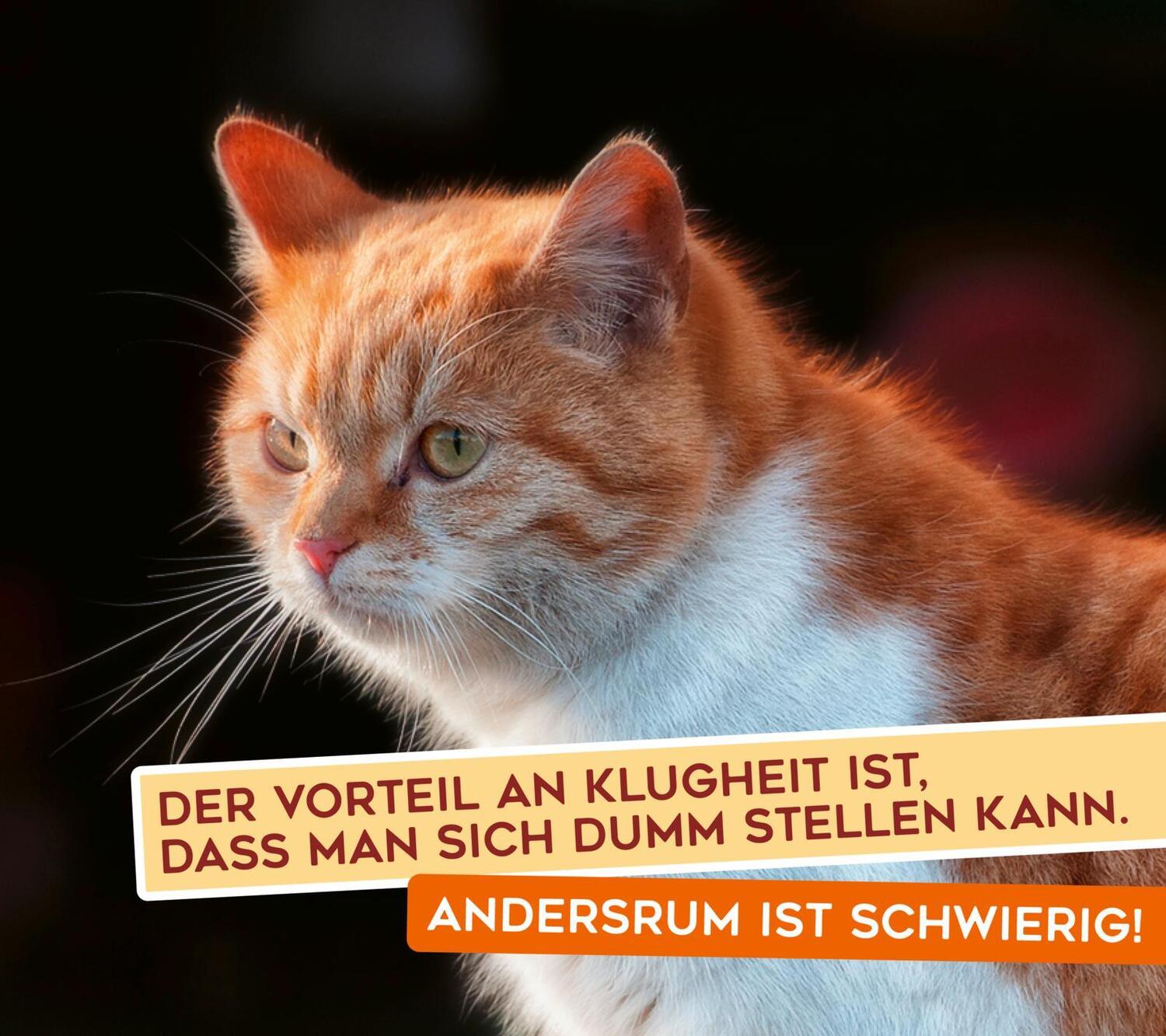 Bild: 9783830336280 | Uli Stein - Für echte Katzenfreunde | Uli Stein | Taschenbuch | 120 S.