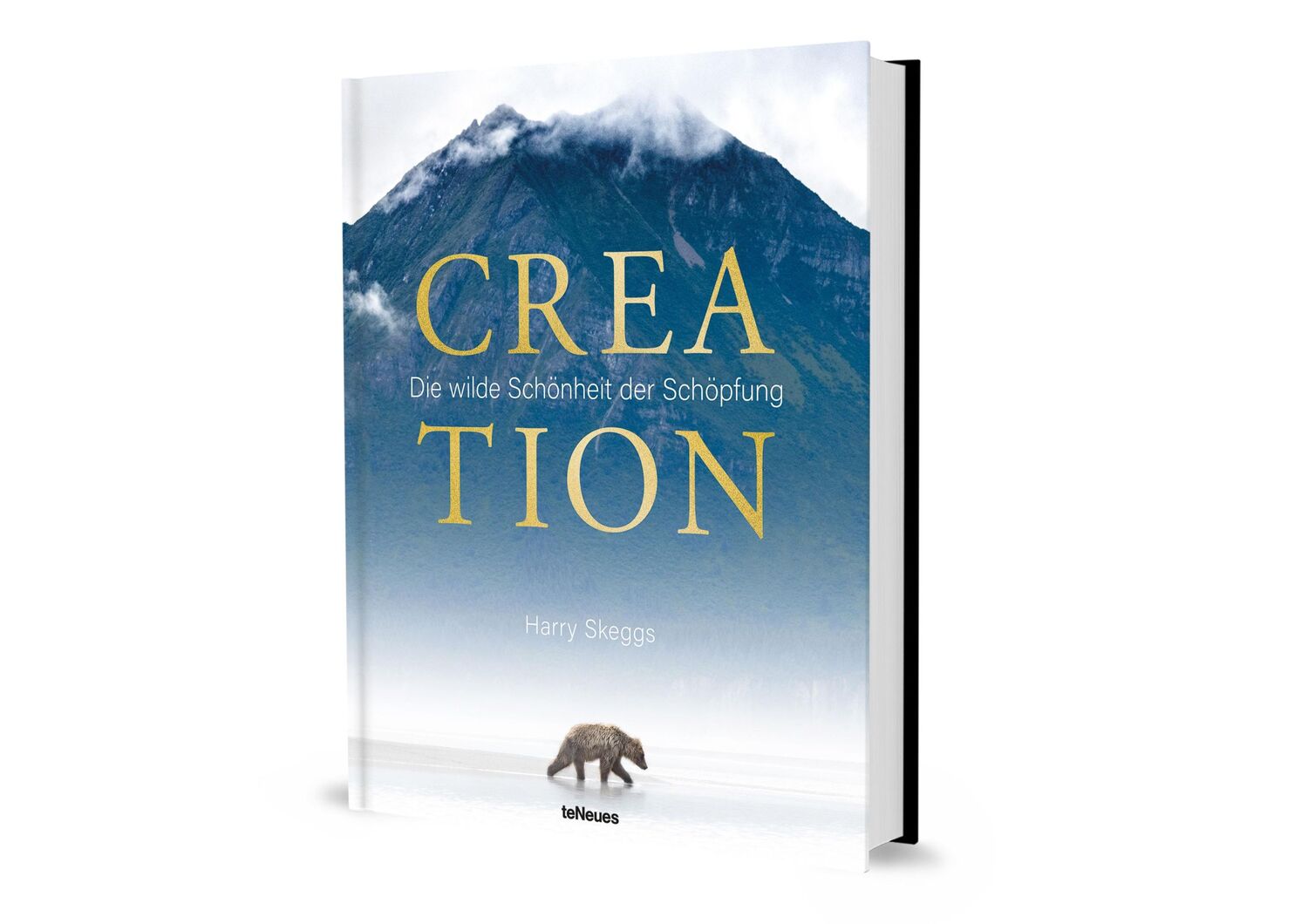 Bild: 9783961715725 | Creation | Die wilde Schönheit der Schöpfung | Harry Skeggs | Buch