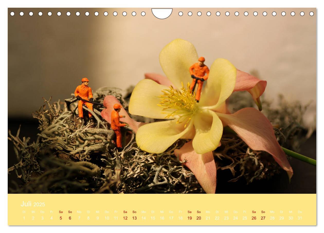 Bild: 9783435344772 | Miniaturen - Klein ganz groß (Wandkalender 2025 DIN A4 quer),...