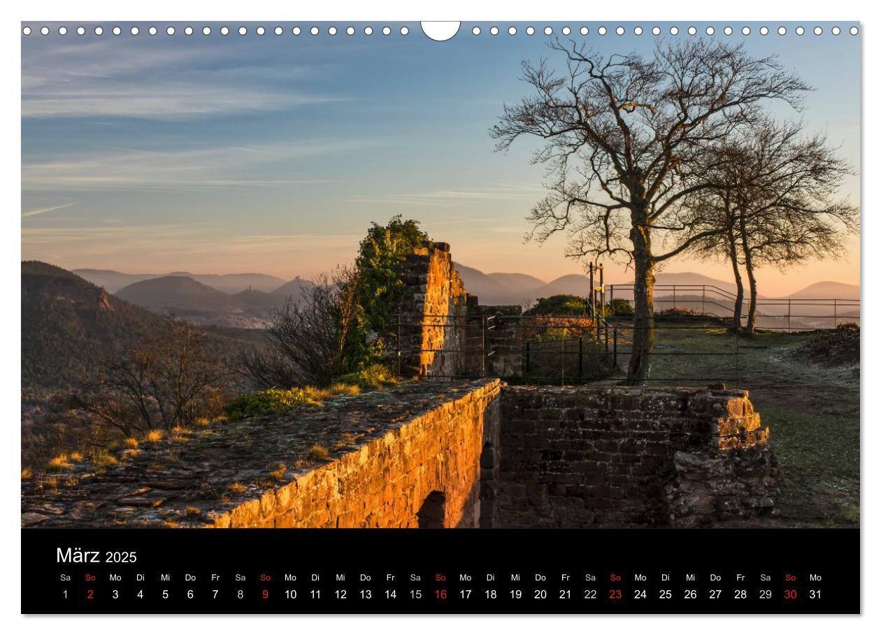 Bild: 9783435592432 | Mystischer Pfälzer Wald (Wandkalender 2025 DIN A3 quer), CALVENDO...