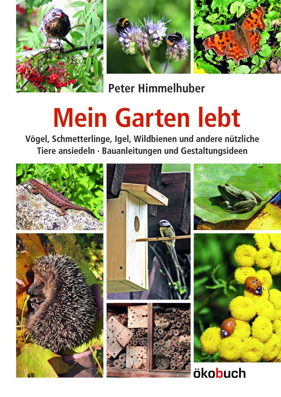 Cover: 9783936896565 | Mein Garten lebt | Peter Himmelhuber | Buch | 94 S. | Deutsch | 2011