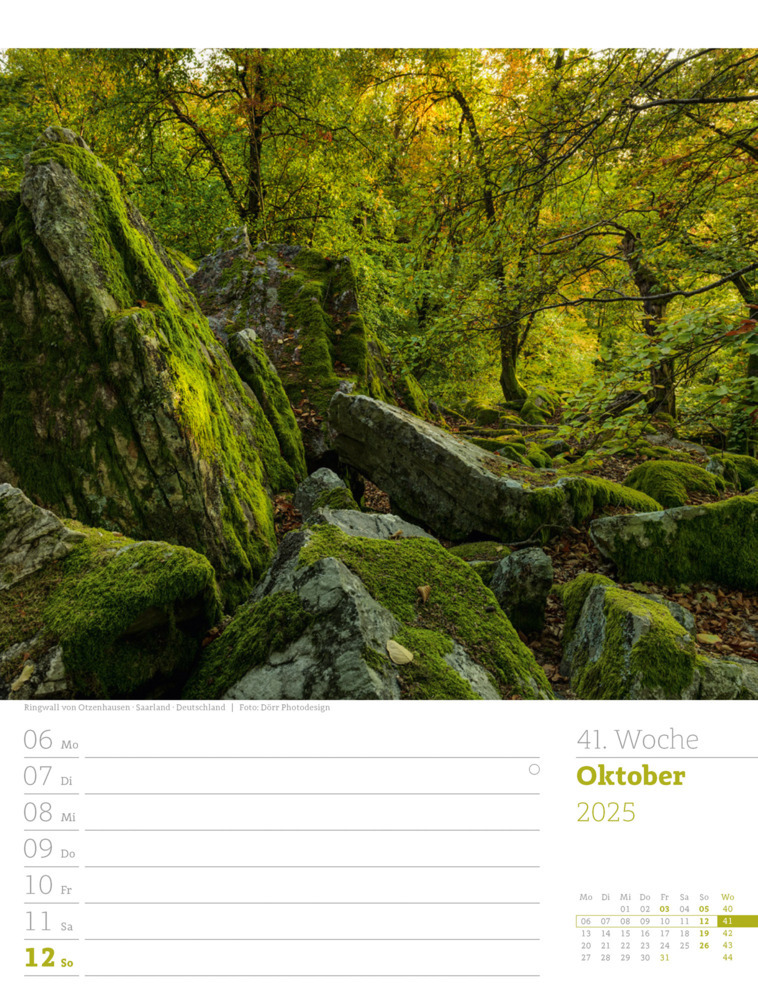 Bild: 9783838425979 | Unser Wald - Wochenplaner Kalender 2025 | Ackermann Kunstverlag | 2025