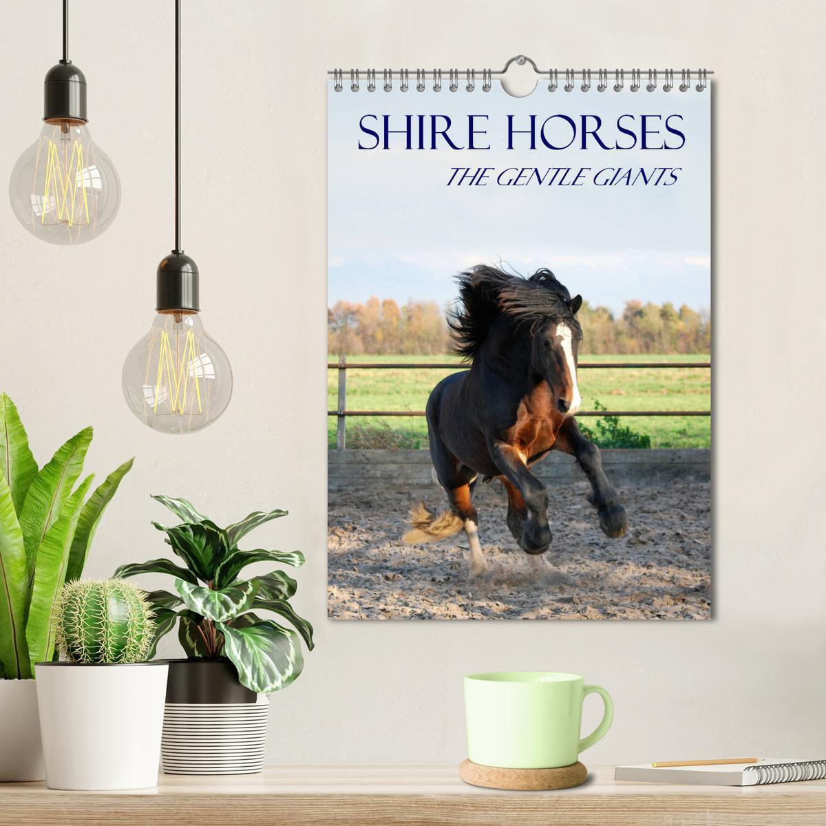 Bild: 9781325973057 | Shire Horses The Gentle Giants (Wall Calendar 2025 DIN A4...