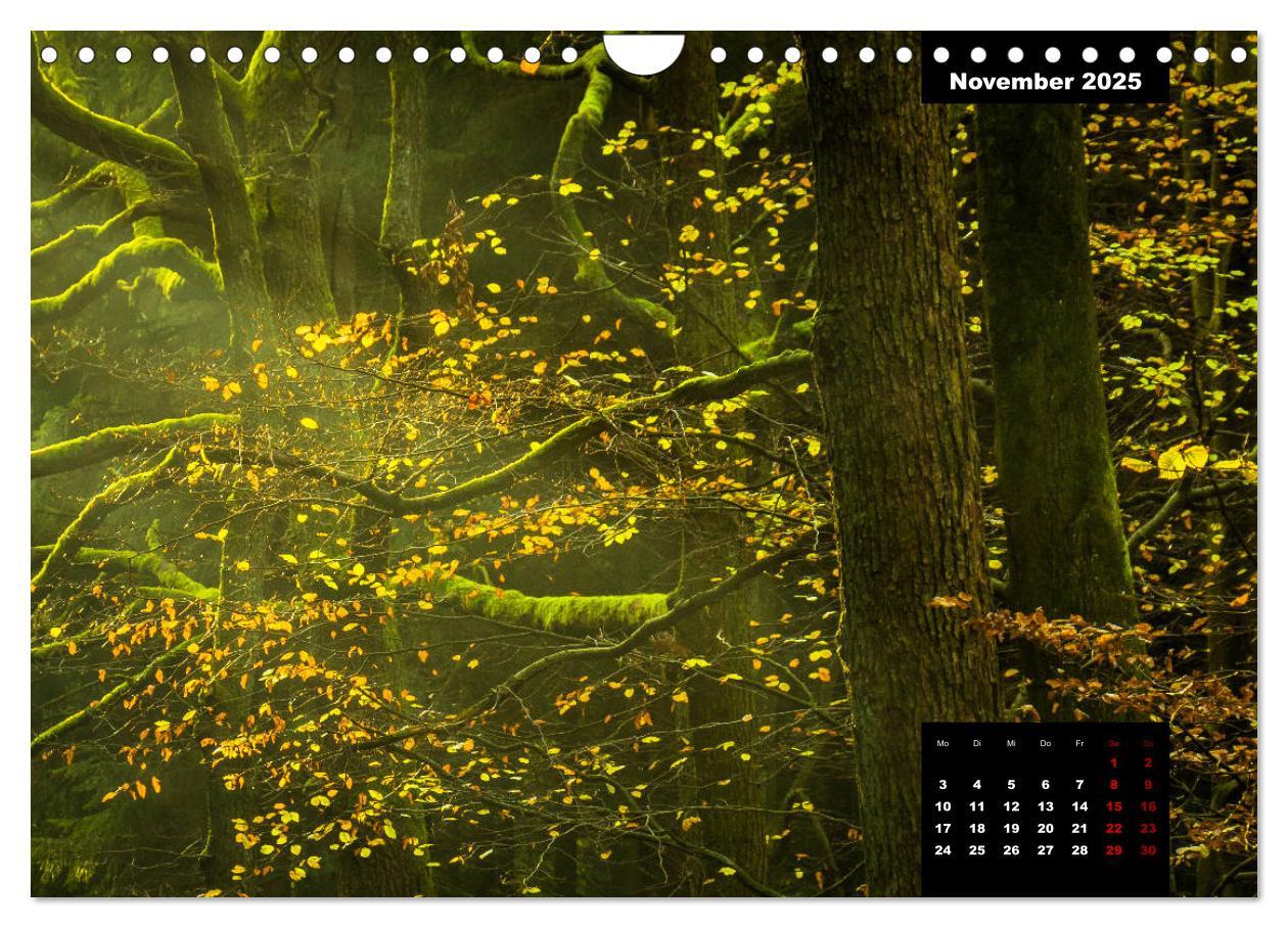 Bild: 9783435287499 | Malerisches Sauerland (Wandkalender 2025 DIN A4 quer), CALVENDO...