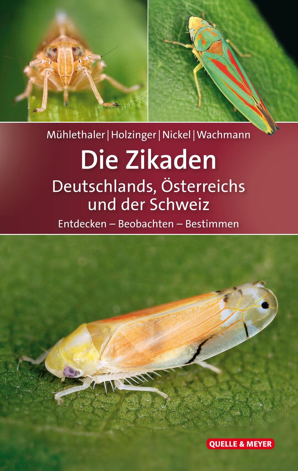 Cover: 9783494016481 | Die Zikaden Deutschlands, Österreichs und der Schweiz | Buch | 360 S.