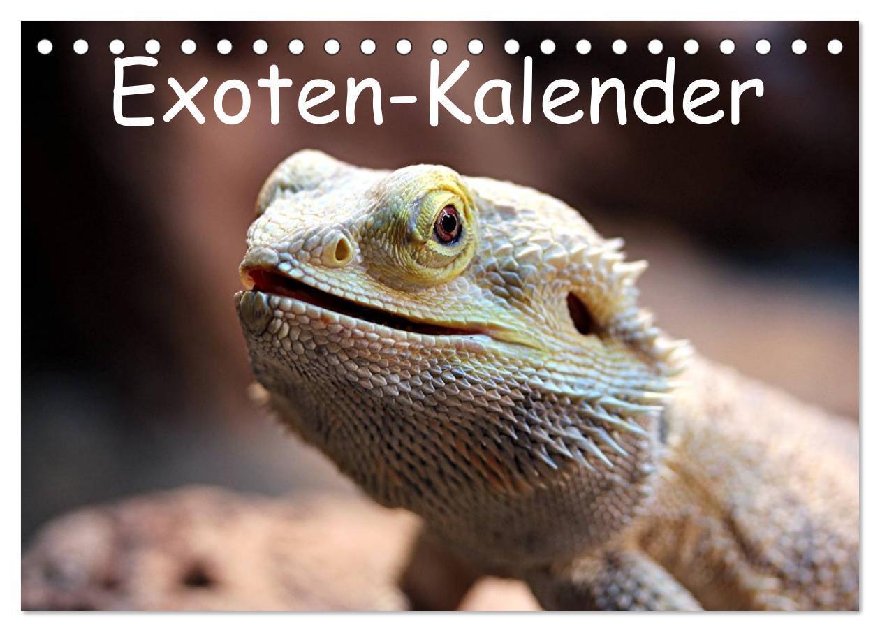 Cover: 9783435726936 | Exoten-Kalender (Tischkalender 2025 DIN A5 quer), CALVENDO...