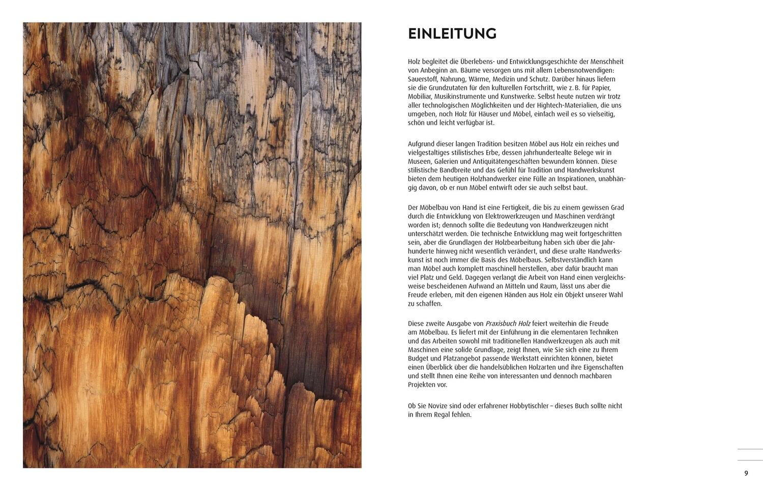 Bild: 9783831040070 | Praxisbuch Holz | Techniken - Werkzeuge - Projekte | Buch | 400 S.