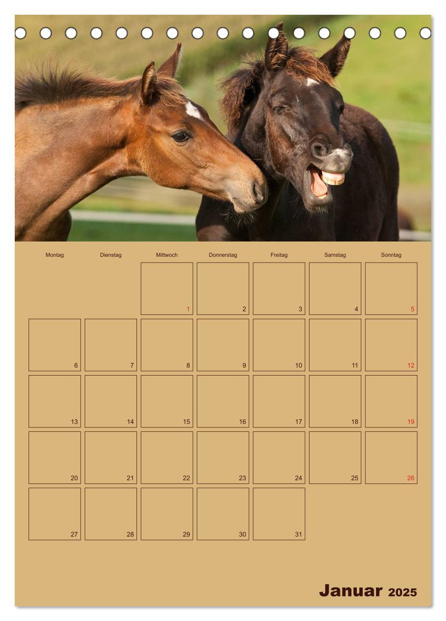 Bild: 9783457030592 | Pferde Gute Freunde (Tischkalender 2025 DIN A5 hoch), CALVENDO...