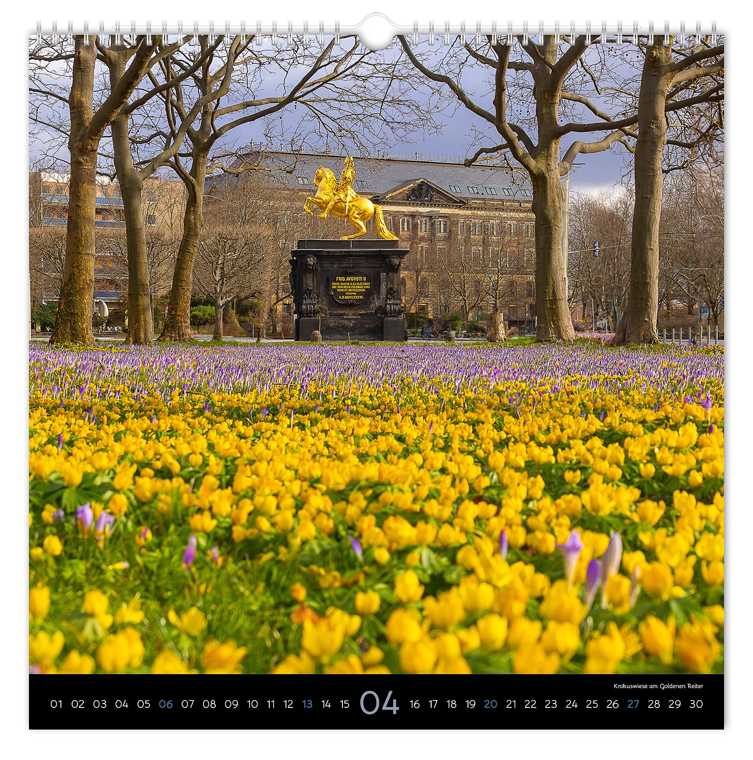 Bild: 9783910680661 | Kalender Stimmungsvolles Dresden 2025 | Peter Schubert | Kalender