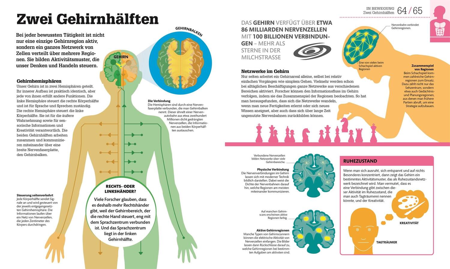 Bild: 9783831032693 | Der menschliche Körper | und wie er funktioniert | a | Buch | 256 S.