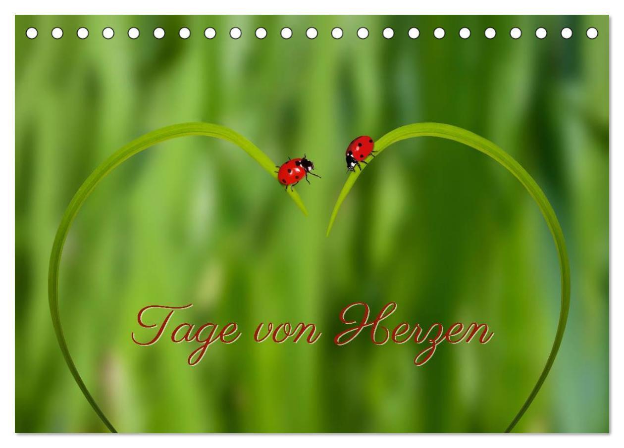 Cover: 9783435621163 | Tage von Herzen (Tischkalender 2025 DIN A5 quer), CALVENDO...