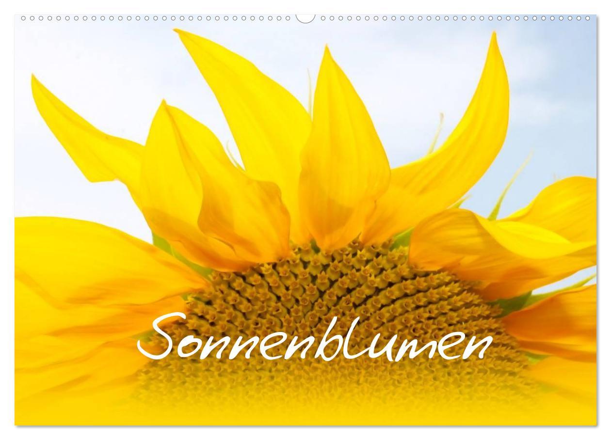 Cover: 9783435799404 | Sonnenblumen - die Blumen der Lebensfreude (Wandkalender 2025 DIN...