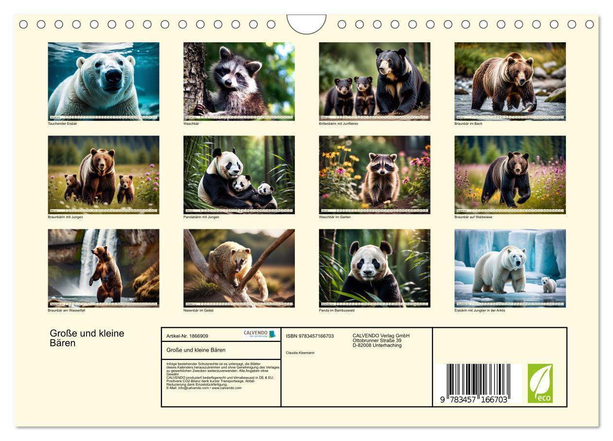 Bild: 9783457166703 | Große und kleine Bären (Wandkalender 2025 DIN A4 quer), CALVENDO...