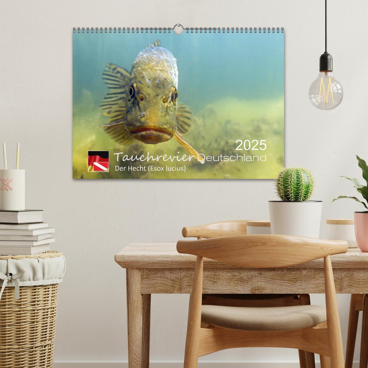 Bild: 9783435425600 | Tauchrevier Deutschland - Der Hecht (Esox lucius) (Wandkalender...