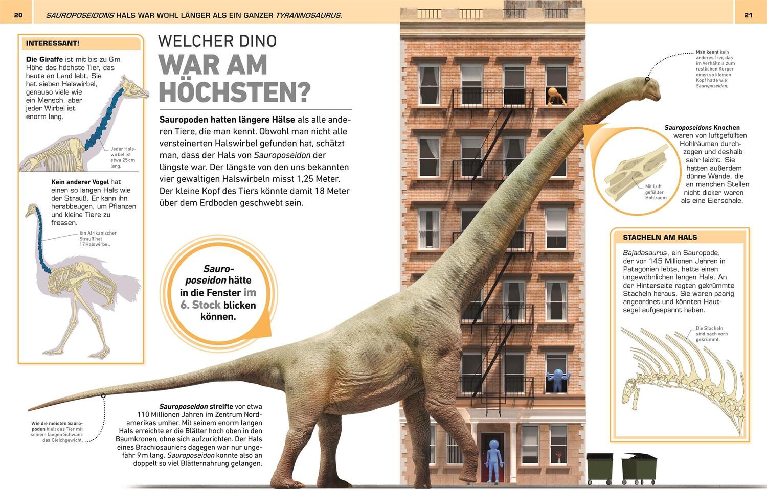 Bild: 9783831047390 | Total verrückt! Dinosaurier | Dean Lomax (u. a.) | Buch | 176 S.