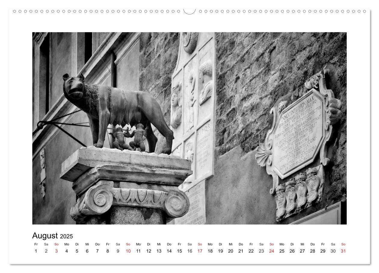 Bild: 9783435580194 | ROM Monochrom (Wandkalender 2025 DIN A2 quer), CALVENDO Monatskalender