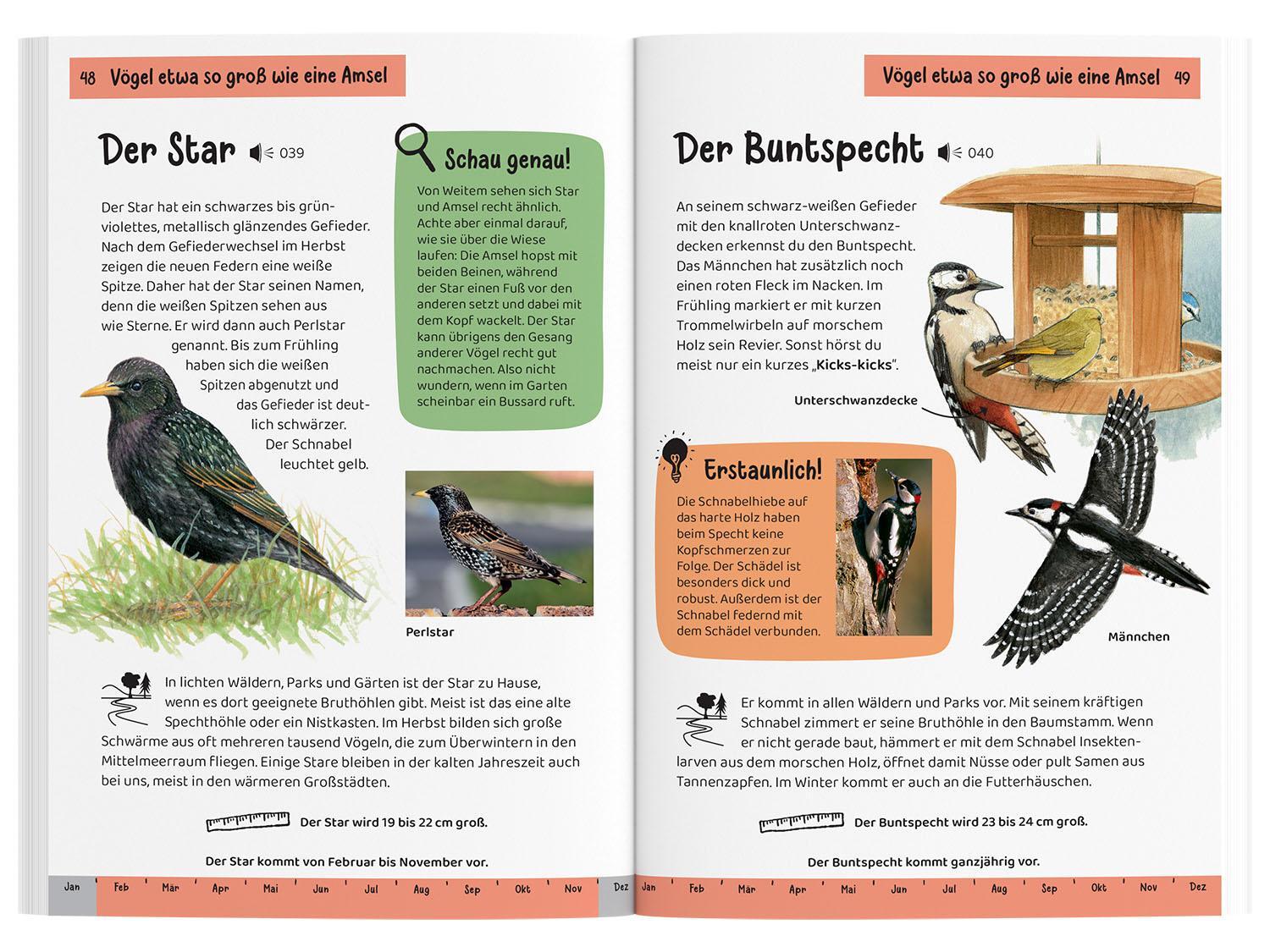 Bild: 9783440172445 | Was fliegt denn da? Kindernaturführer | Holger Haag | Taschenbuch