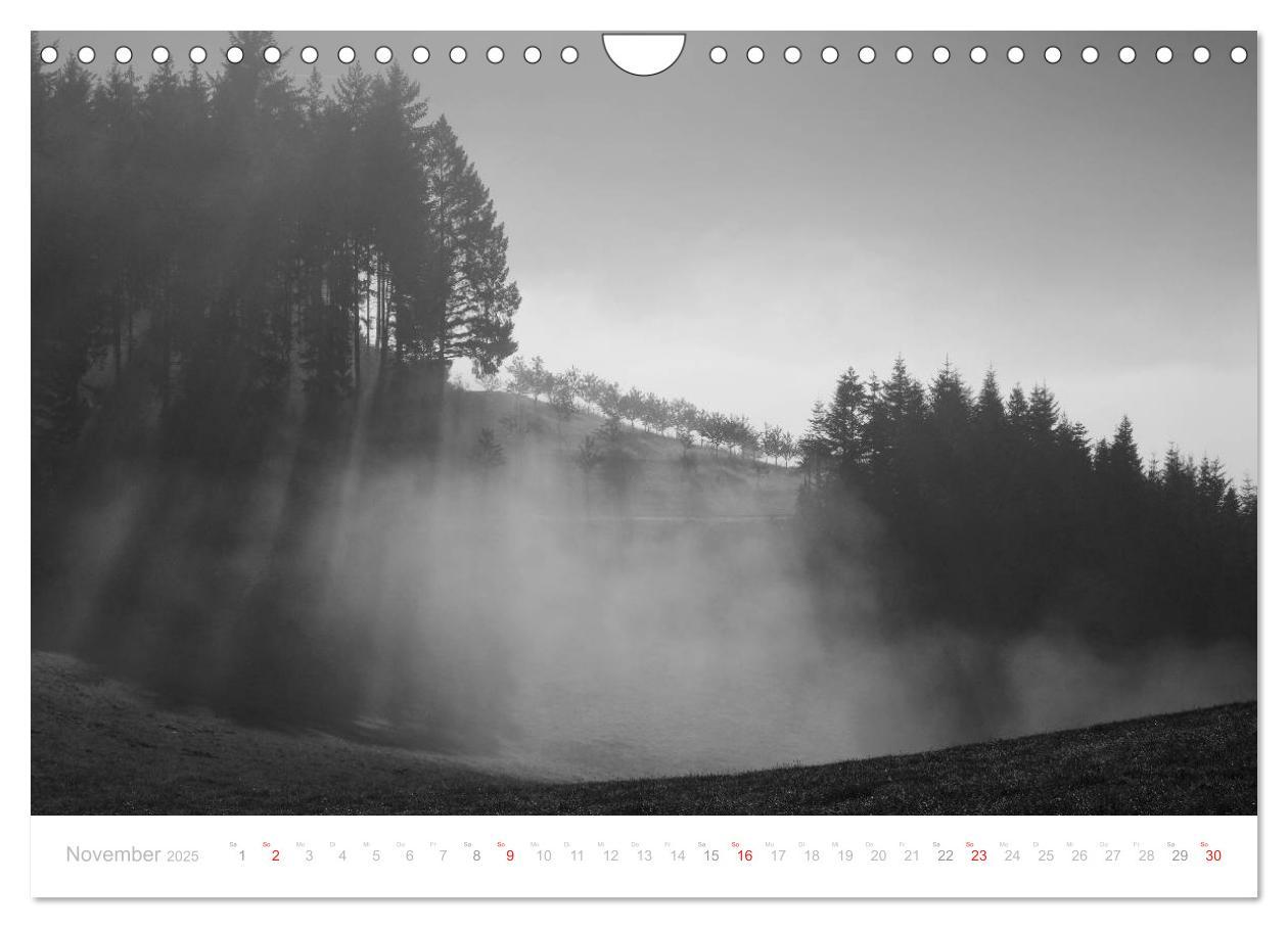 Bild: 9783435514885 | Mystischer Schwarzwald (Wandkalender 2025 DIN A4 quer), CALVENDO...