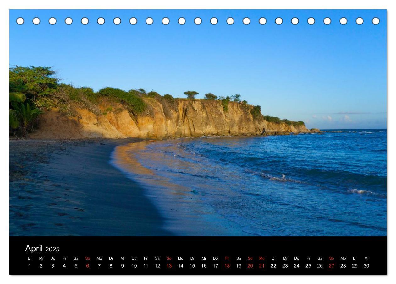 Bild: 9783435456277 | Trauminsel Puerto Rico (Tischkalender 2025 DIN A5 quer), CALVENDO...