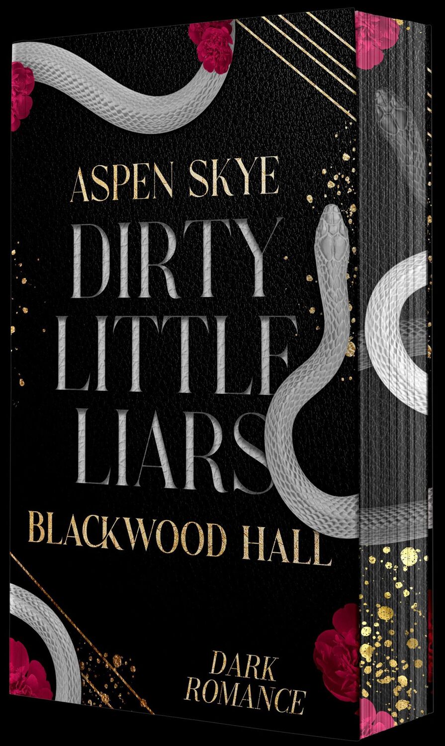 Cover: 9783989425170 | Dirty Little Liars | Aspen Skye | Taschenbuch | Blackwood Hall | 2024