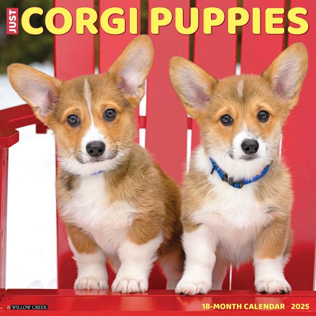 Cover: 9781549242540 | Just Corgi Puppies 2025 12 X 12 Wall Calendar | Willow Creek Press