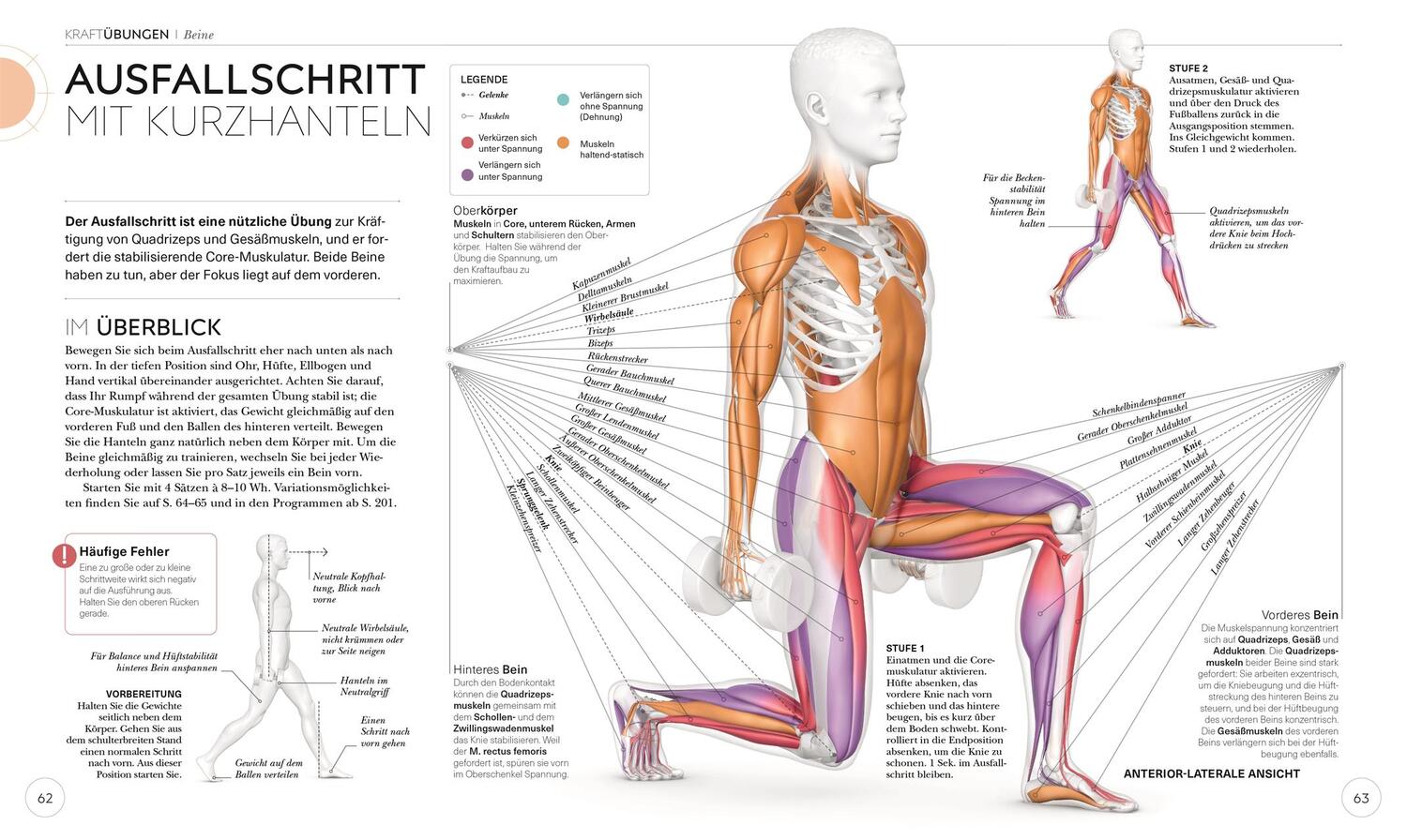 Bild: 9783831042760 | Krafttraining - Die Anatomie verstehen | Austin Current | Taschenbuch